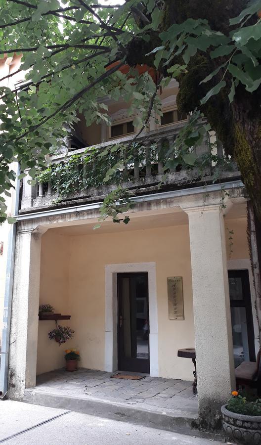 Apartman Centar Cetinje Exteriér fotografie